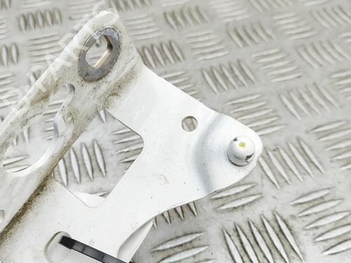 Hinge/Door check strap MERCEDES-BENZ E-CLASS Coupe (C238) E 220 d (238.314) | BP31715663C146 