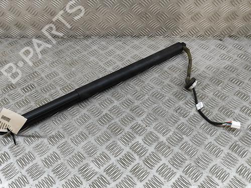 Tailgate lift support TESLA MODEL Y (5YJY) EV Performance All-wheel Drive | BP27789759C138