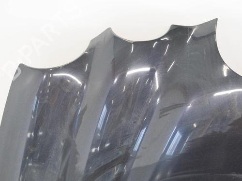 Hood JAGUAR S-TYPE II (X200) R 4,2 V8 | BP6749719C1 
