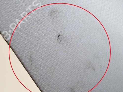 Altro TESLA MODEL 3 (5YJ3) EV | BP27758344O1 