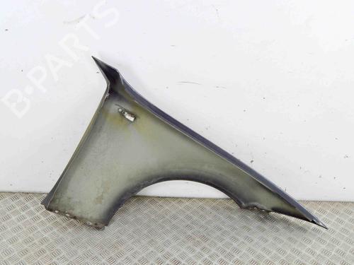 Left front fenders BMW 1 (E87) 116 i | BP29890715C41