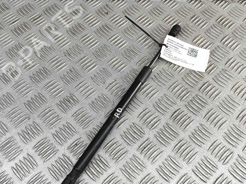 Hood lift support BMW X5 (F15, F85) xDrive 30 d | BP27799831C139