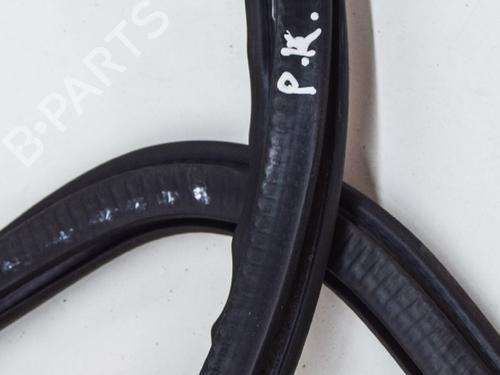 Rubber door seal AUDI Q5 (FYB, FYG) 2.0 TFSI quattro | BP14616585C142 