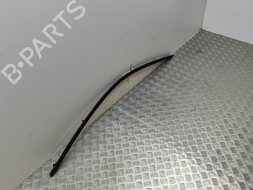 Door moulding trim BMW 7 (G11, G12) 730 d, Ld | BP19501574C150 