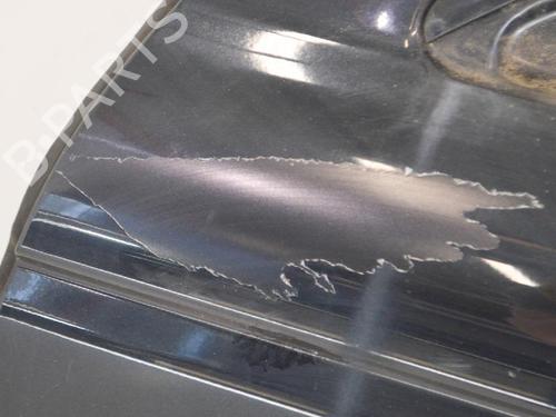 Left front door JAGUAR S-TYPE II (X200) R 4,2 V8 | BP6749711C2 