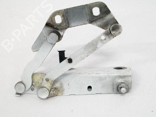 Used Hinge/Door check strap LAND ROVER RANGE ROVER EVOQUE (L538) 2.2 D 4x4 (190 hp) 14658664