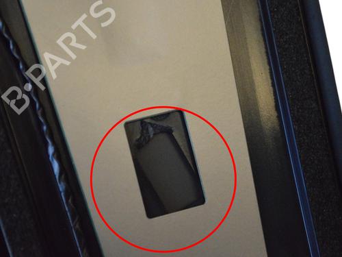 Dørliste TESLA MODEL 3 (5YJ3) EV Performance AWD | BP33366401C150  - Image 6