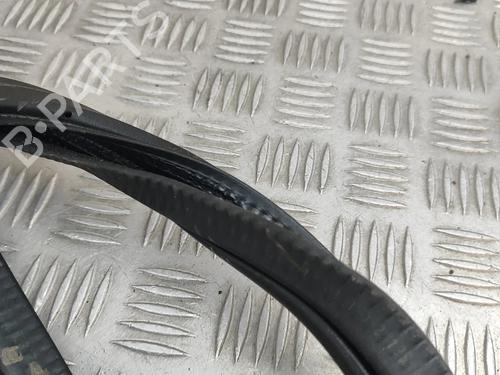 Rubber door seal PORSCHE CAYENNE Coupe (9YB) 3.0 AWD (9YBAA1) | BP28432303C142 