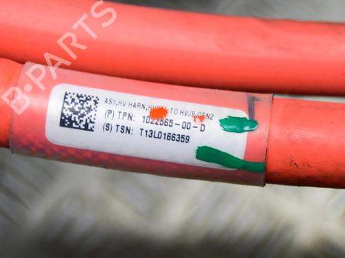 Wiring harness TESLA MODEL S (5YJS) 85 | BP33937492E16  - Image 7