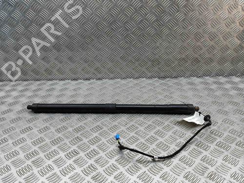 Tailgate lift support PORSCHE PANAMERA (970) 3.0 D | BP29487122C138 