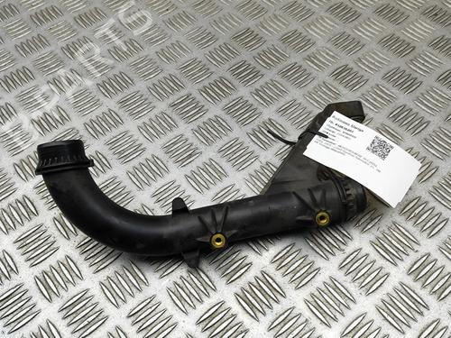 Pipe MERCEDES-BENZ GLC (X253) 300 d 4-matic (253.919) | BP29731191M125 