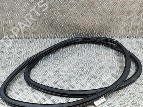 Used Rubber door seal AUDI Q5 (FYB, FYG) SQ5 TFSI quattro (354 hp) 19502622