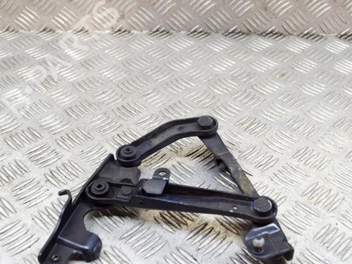 Hinge/Door check strap MERCEDES-BENZ S-CLASS (W220) S 400 CDI (220.028, 220.128) | BP14636331C146 