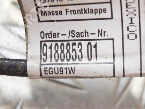Hinge/Door check strap BMW X5 (E70) xDrive 30 d | BP14618391C146 