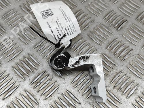Hinge/Door check strap AUDI A5 Sportback (F5A, F5F) 2.0 TDI | BP16141131C146 