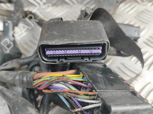 Other TRIUMPH MOTORCYCLES THRUXTON Thruxton 900 (986ME2) | BP33371952O1 - Image 5