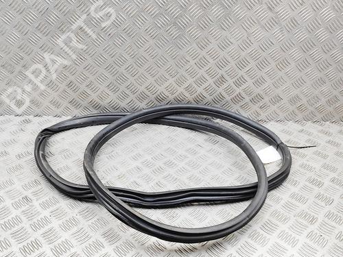 Gummiliste BMW X2 (U10) sDrive 20 i | BP36565058C142 - Image 6