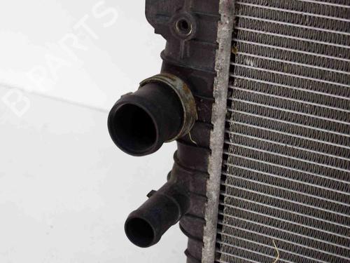Water radiator LAND ROVER DISCOVERY IV (L319) 3.0 SDV6 4x4 | BP9628029M31