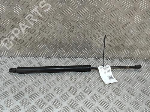 tailgate-lift-support-toyota-hilux-vi-pickup-_n1_-1994-1995-1996-1997-1998-1999-2000-2001-2002-2003-2004-2005-2006-23562430 main image