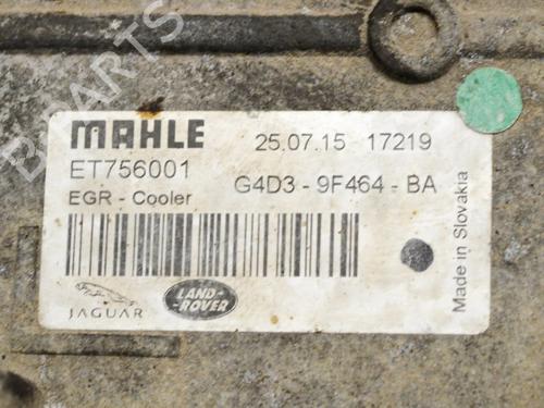 Egr LAND ROVER RANGE ROVER EVOQUE (L538) 2.0 D 4x4 | BP11490162M69 