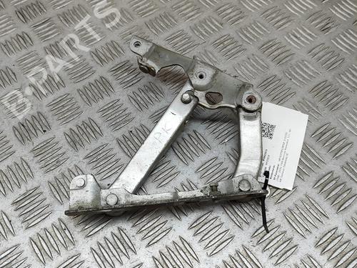 Hinge/Door check strap MERCEDES-BENZ S-CLASS (W220, V220) S 320 (220.065, 220.165) | BP24580685C146 