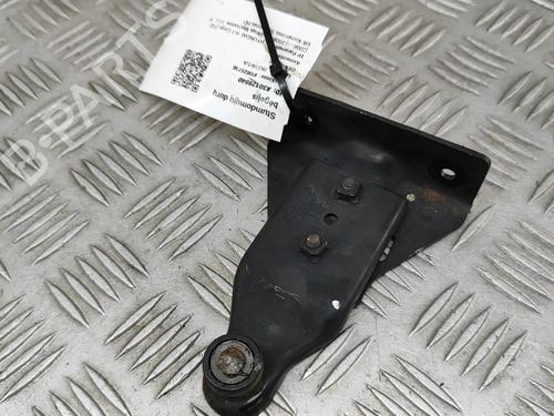 Hinge/Door check strap HYUNDAI H-1 Cargo (TQ) 2.5 CRDi | BP25787687C146