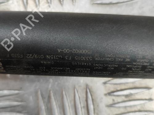 Gasdæmper bagklap TESLA MODEL Y (5YJY) EV Performance All-wheel Drive | BP31314660C138 