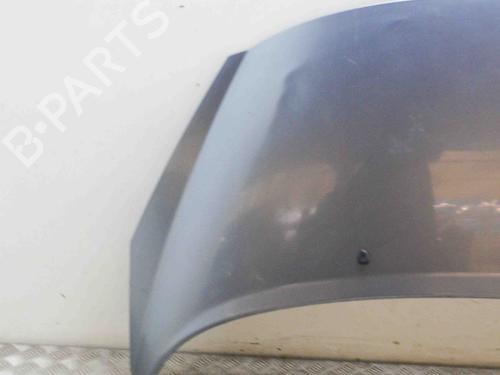 Hood PEUGEOT 207 CC (WD_) 1.6 16V Turbo | BP9227341C1