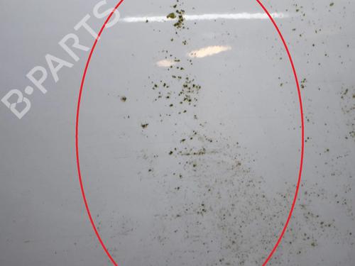 Right front door OPEL ANTARA A (L07) 2.2 CDTi 4x4 | BP9227371C3 