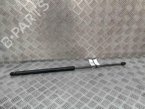 Used Tailgate lift support TOYOTA C-HR (_X2_, _H2_) Hybrid (MAXH20) (197 hp) 27779606