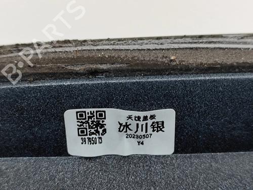 Other POLESTAR POLESTAR 2 (534) EV | BP28561126O1 