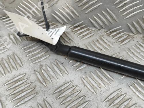 Hood lift support LEXUS NX (_Z1_) 300h AWD (AYZ15_, AYZ15R) | BP27789979C139