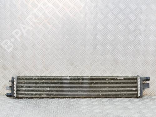 Used Water radiator RENAULT MASTER III Van (FV) 2.3 dCi 180 FWD (FV04, FV07) (179 hp) 29128314