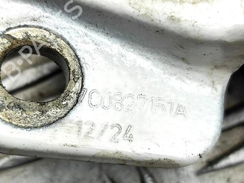 Hinge/Door check strap MAN TGE Van 2.0 TDI (01V, 03V, 36V, UYB, UYC, UYD) | BP31976948C146