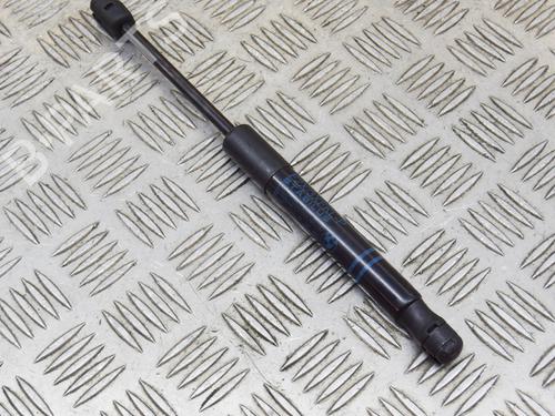 Hood lift support BMW 1 (F20) M 135 i | BP14622457C139