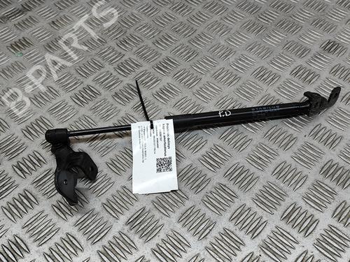 Used Hood lift support TESLA MODEL 3 (5YJ3) EV AWD (351 hp) 28554489