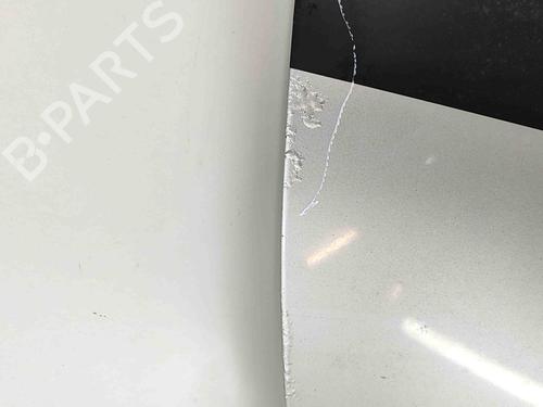 Hood DODGE CHARGER 2.7 | BP29730658C1 