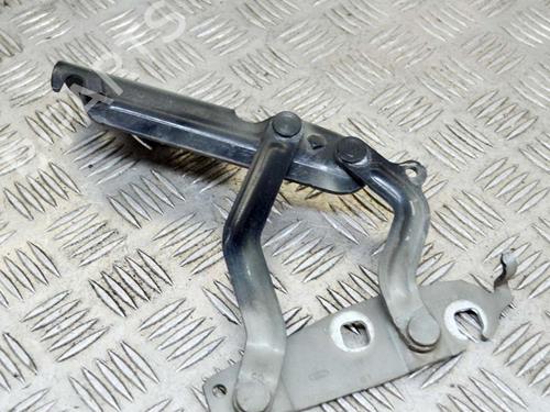 Hinge/Door check strap FORD FIESTA VI (CB1, CCN) 1.0 Sport | BP14630846C146