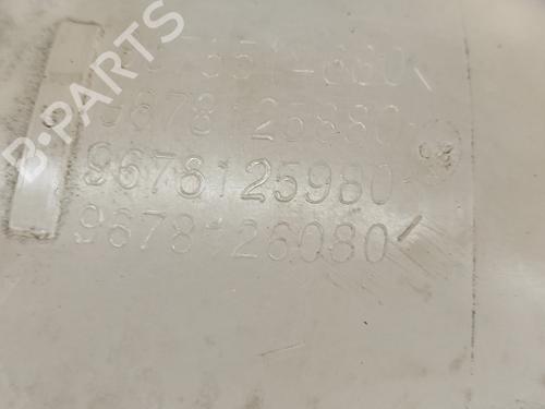 Expansion tank PEUGEOT 3008 II SUV (MC_, MR_, MJ_, M4_) 1.6 BlueHDi 120 | BP25219139C120 