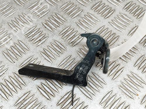 Hinge/Door check strap VOLVO XC40 (536) T3 | BP28431009C146 