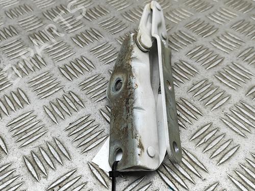 Hinge/Door check strap VW TRANSPORTER T6 Van (SGA, SGH, SHA, SHH) 2.0 TDI | BP29945281C146