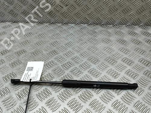 hood-lift-support-audi-a4-b9-8w2-8wc-2015-33797952 main image