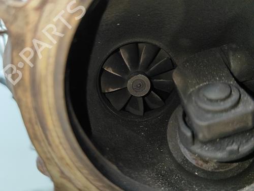Motor FORD FIESTA VI (CB1, CCN) 1.0 EcoBoost | BP29890791M1 