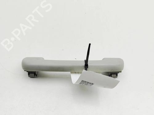 Interior roof handle VW AMAROK (2HA, 2HB, S1B, S6B, S7A, S7B, AGD) 2.0 BiTDI 4motion | BP31314920I35
