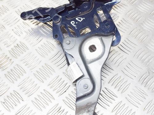 Hinge/Door check strap BMW X5 (E70) xDrive 30 d | BP14618391C146 
