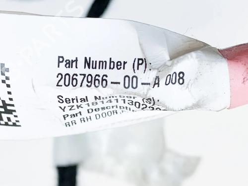 Wiring harness TESLA MODEL 3 (5YJ3) EV | BP27748018E16 