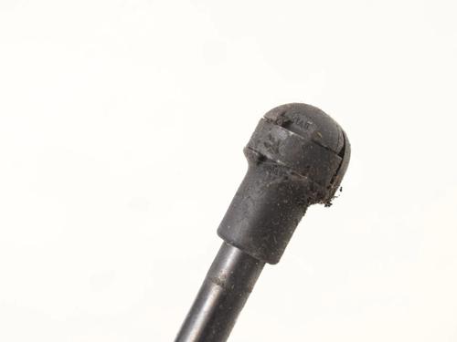 Hood lift support BMW 3 (E90) 320 i | BP30207872C139