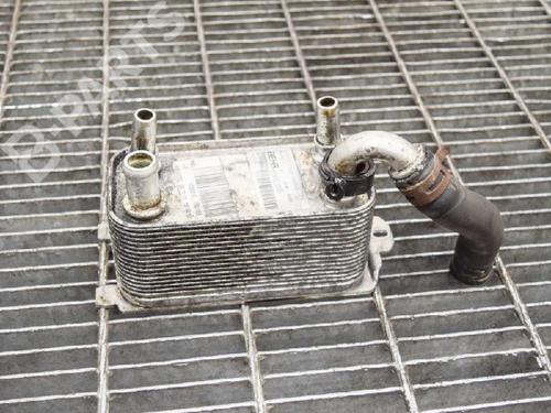 Oliekøler VOLVO V60 I (155) D3 / D4 | BP6754136M33 