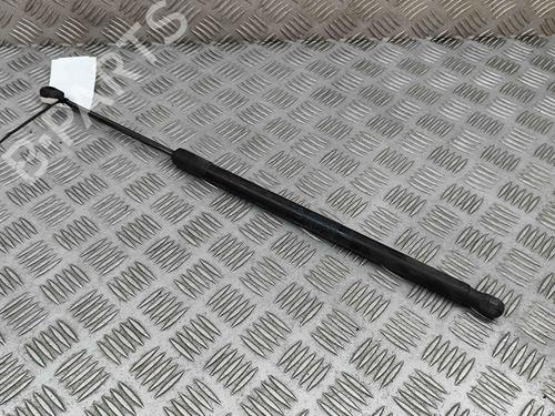 Tailgate lift support FIAT 500L (351_, 352_) 1.6 D Multijet (199LYD1B) | BP23247812C138