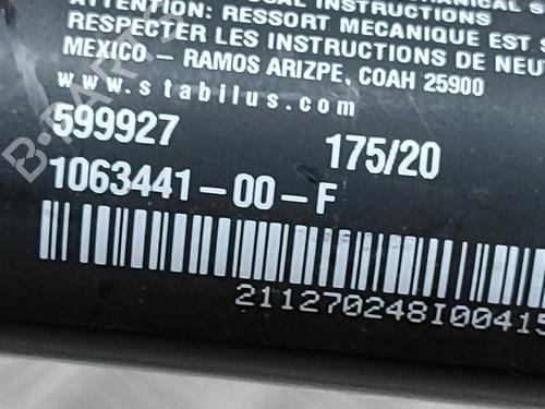 Electronic module TESLA MODEL X (5YJX) P100D AWD | BP28435853M83